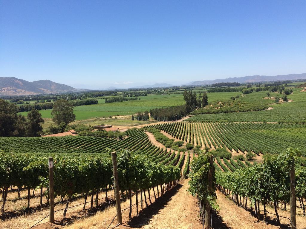 ホテル Noi Blend Colchagua サンタ・クルス エクステリア 写真